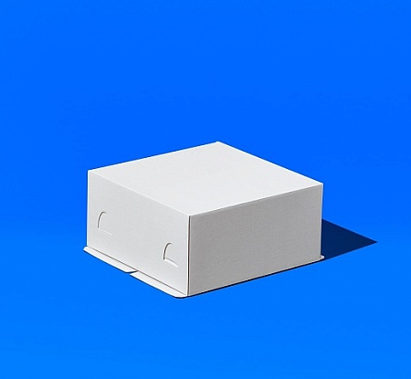 Короб ForGenika STANDARD White 280*280*140 мм S (50 шт./кор.)